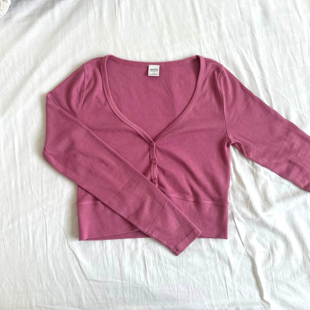 Aritzia vintage frozen berry long sleeve shirt